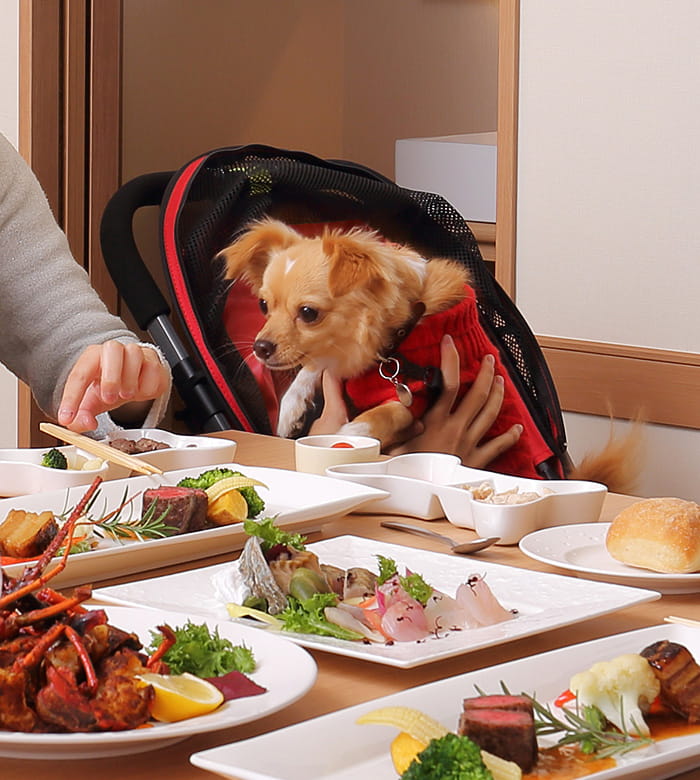 イメージ:お食事