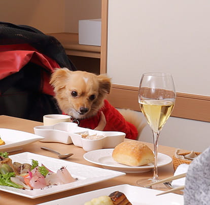 イメージ:IZU PENINSULA La Dog Resort